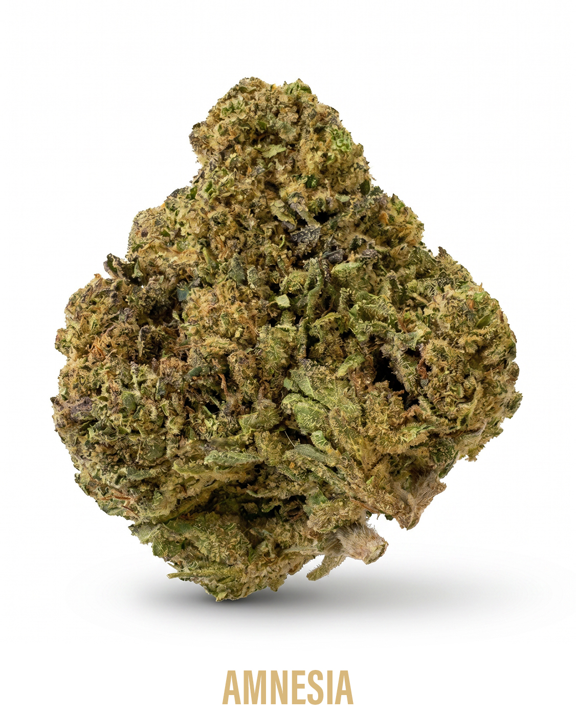 AMNESIA_2