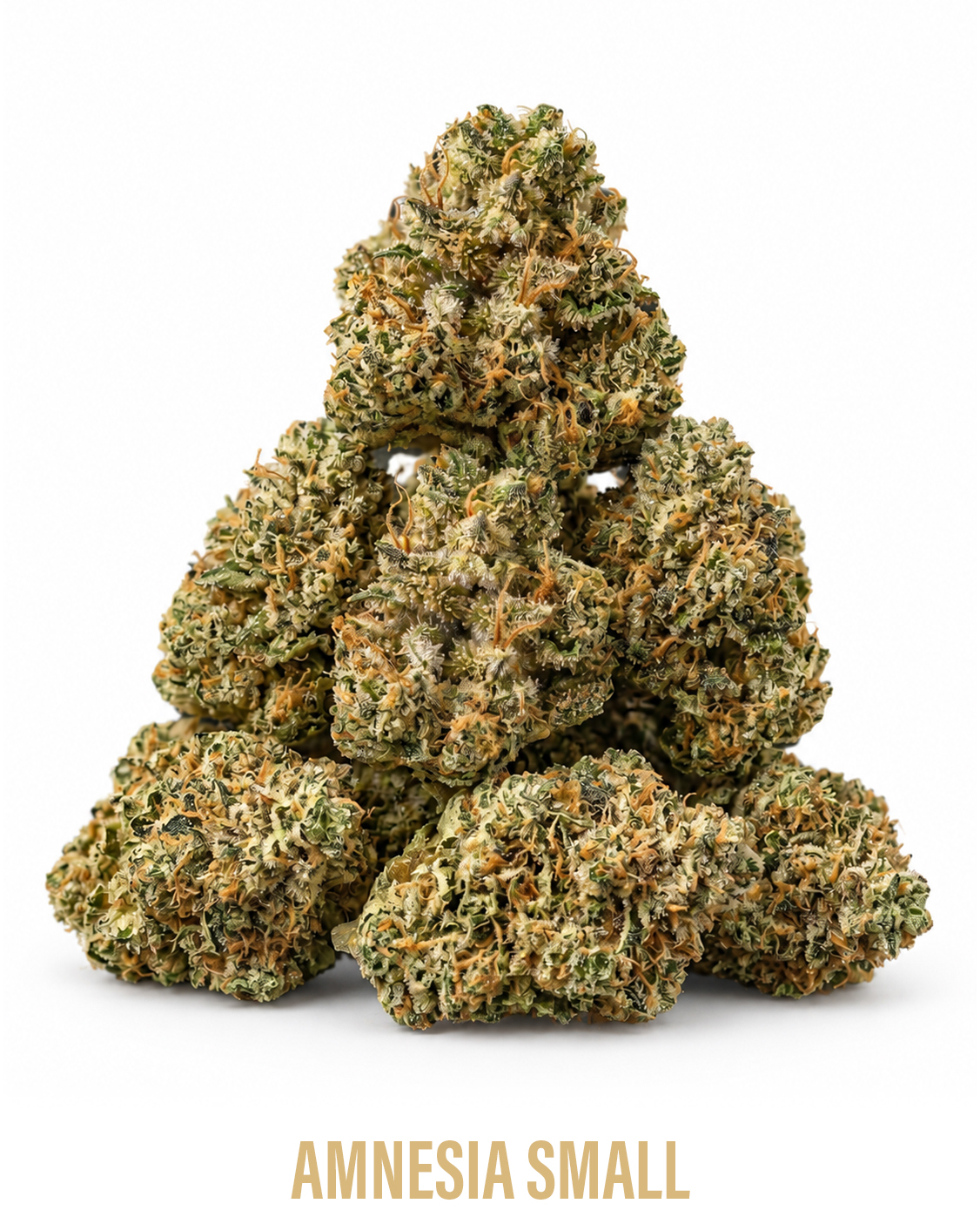 AMNESIA_SMALL
