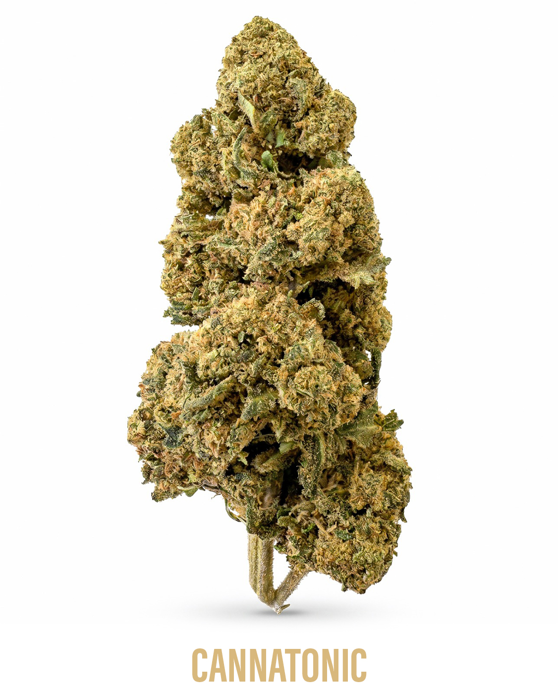 cannatonic