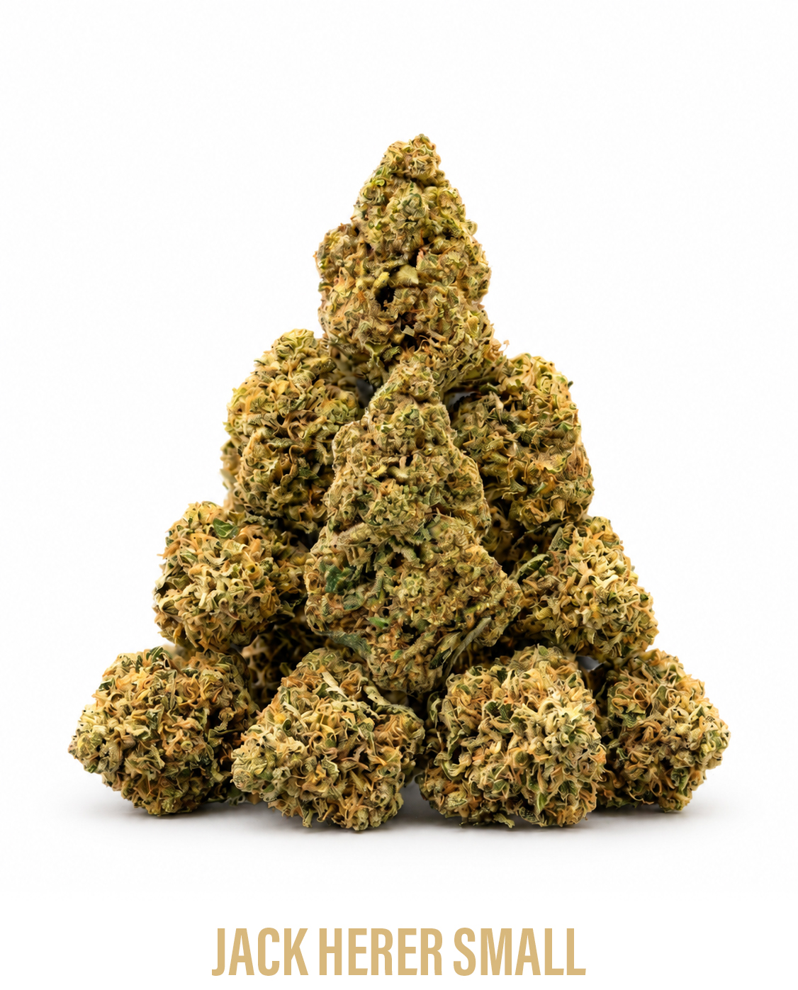 jack_herer_small